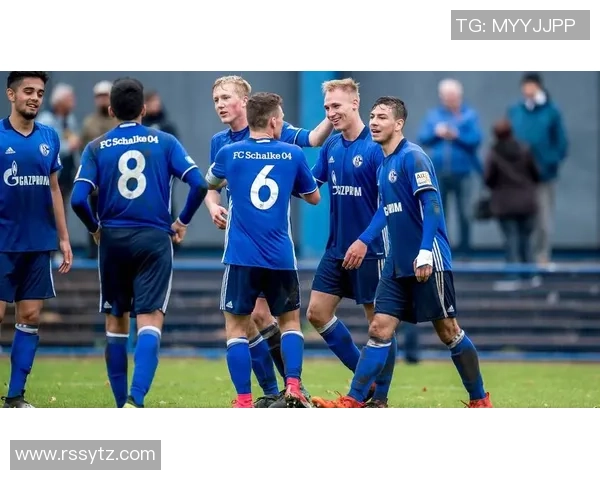 沙尔克04与柏林赫塔历史交锋记录分析及战绩回顾 沙尔克04与柏林赫塔历史交锋记录分析及战绩回顾